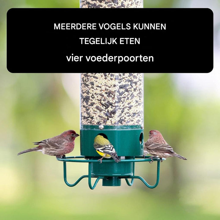 Eekhoornbestendige vogelvoederbak